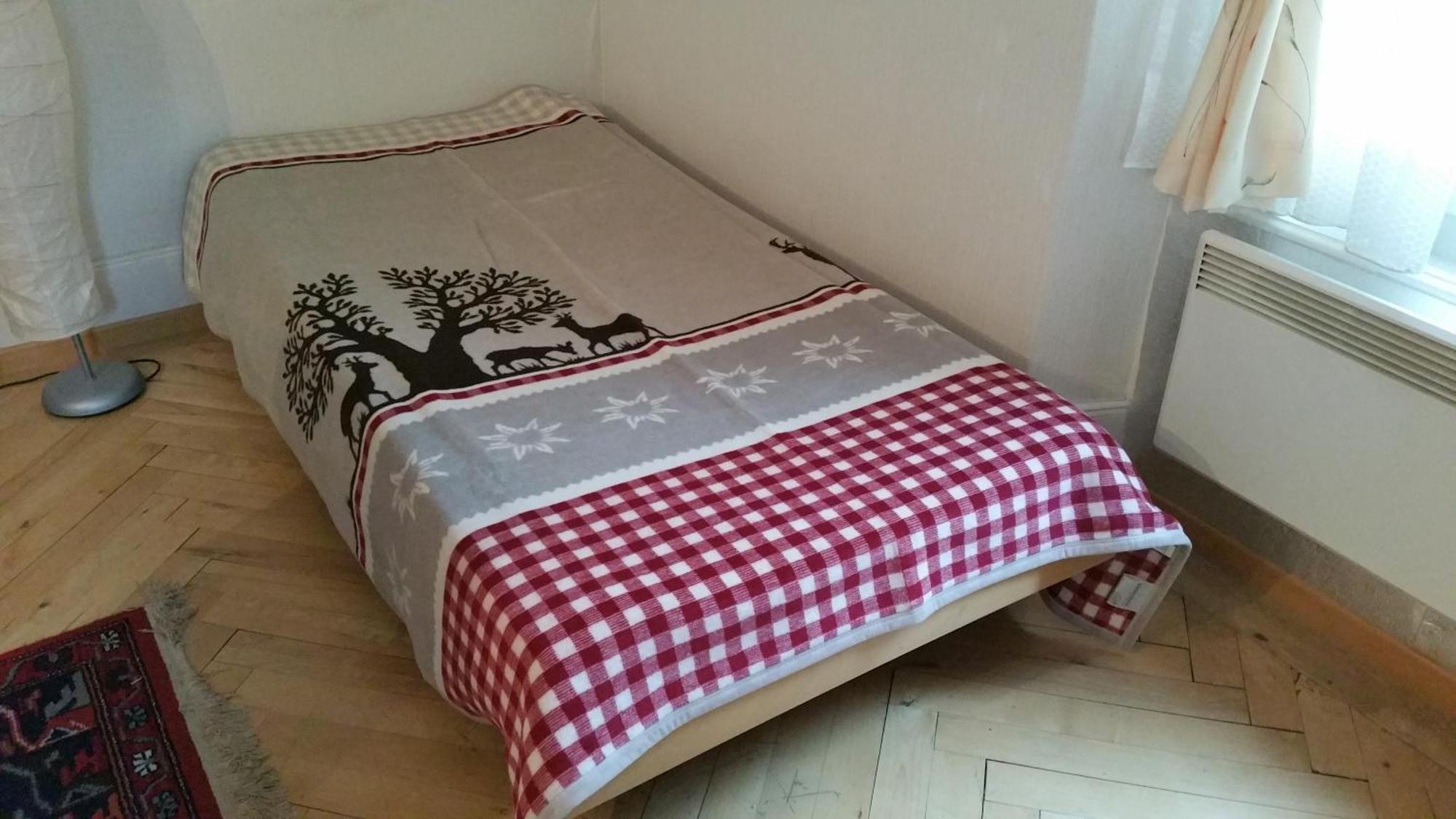 Ferienwohnung Haus Ryter Goschenen Ruang foto
